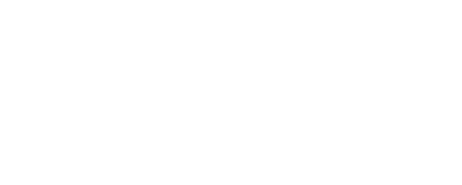 barbuss-risk-logo
