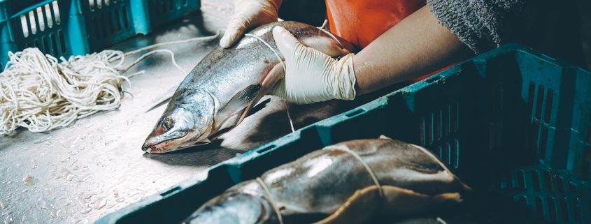 accidente trabajo pescadores
